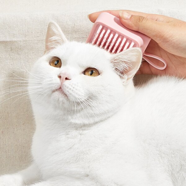

1pc Solid Pet Hair Massage Brush, Pink