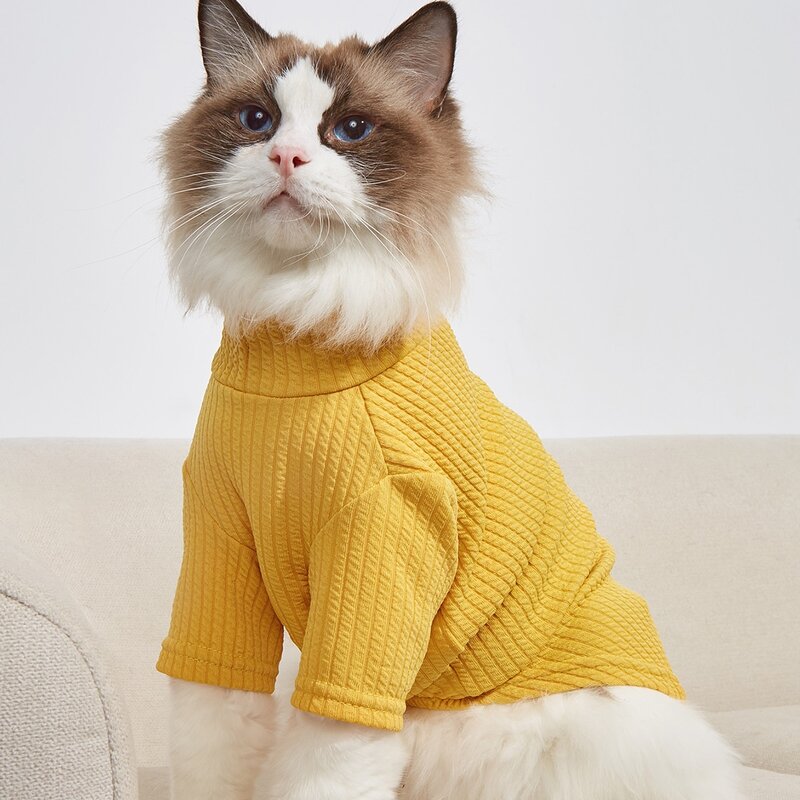 

Solid Pet Tee, Yellow
