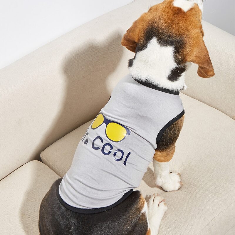 

Letter Graphic Pet Tank, Grey