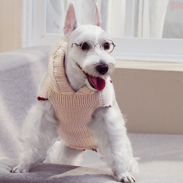 

Letter Graphic Hooded Pet Sweater, Multicolor