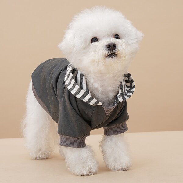 

Striped Hooded Pet Hoodie, Multicolor