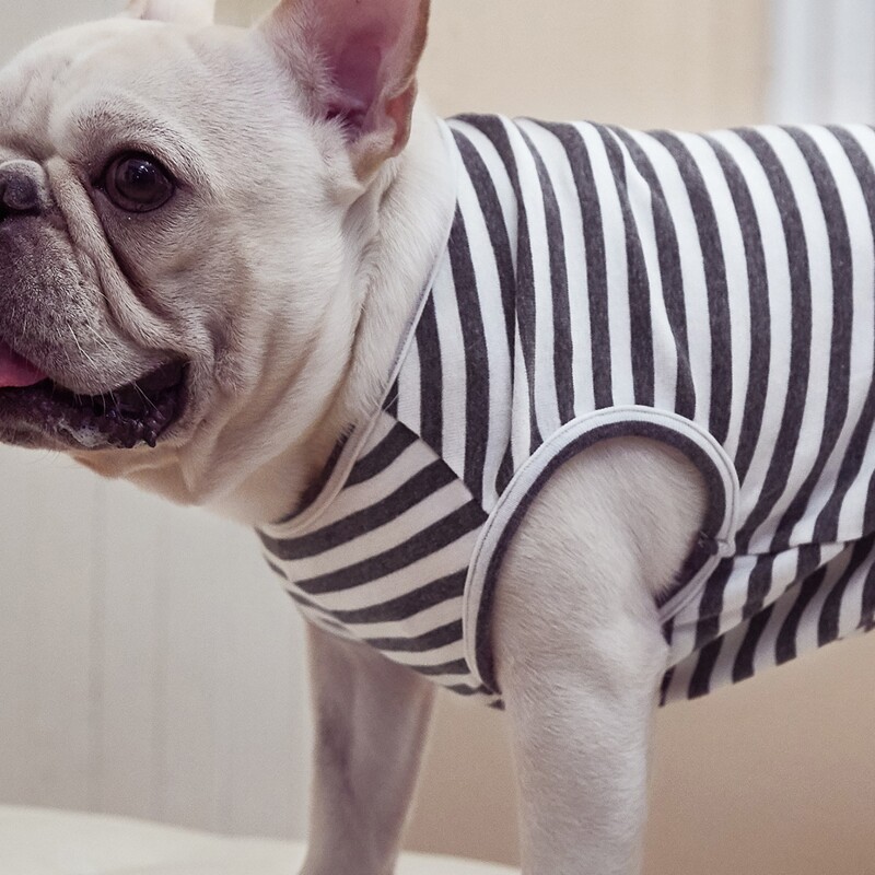 

Striped Pet Tank, Multicolor
