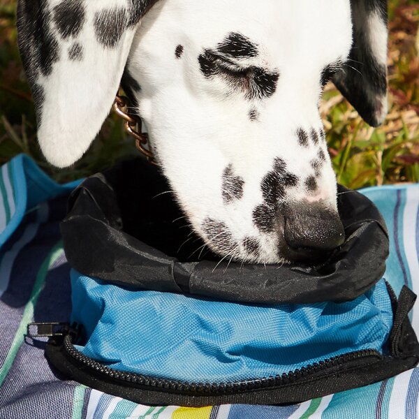 

Portable Zipper Dog Treat Pouch, Blue
