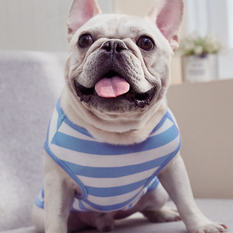 

Striped Pet Tank, Multicolor