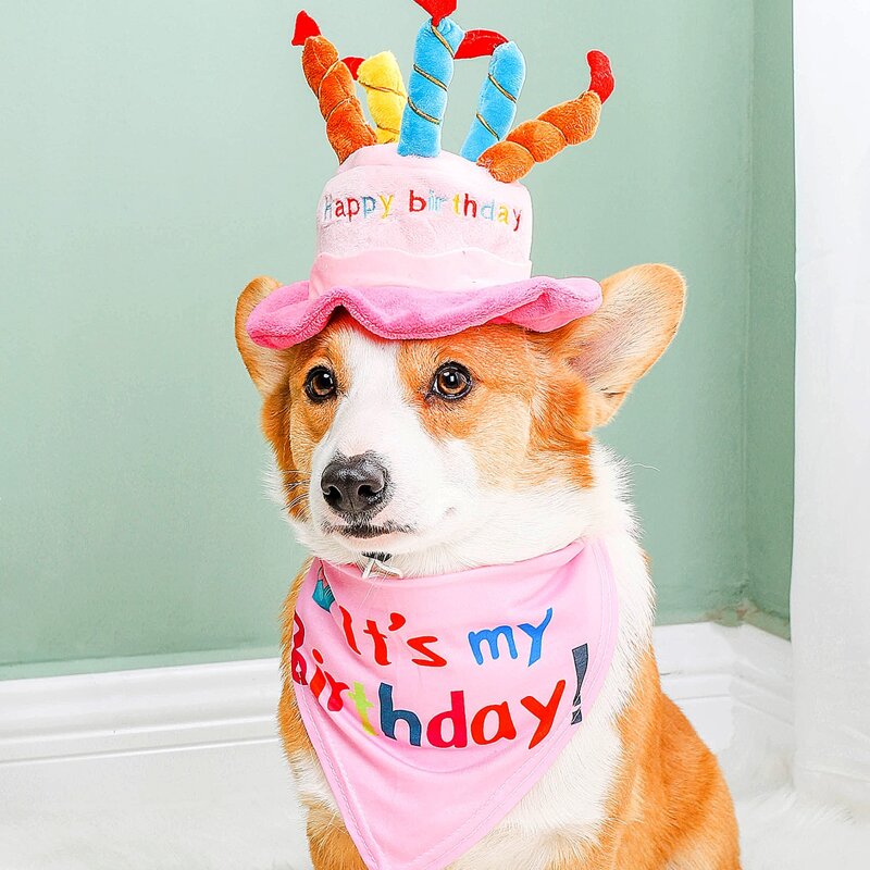 

1pc Birthday Cake Design Pet Hat & 1pc Pet Bandana, Pink