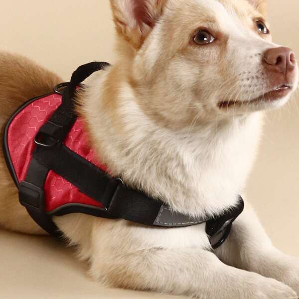 

Geometric Pattern Pet Harness, Multicolor