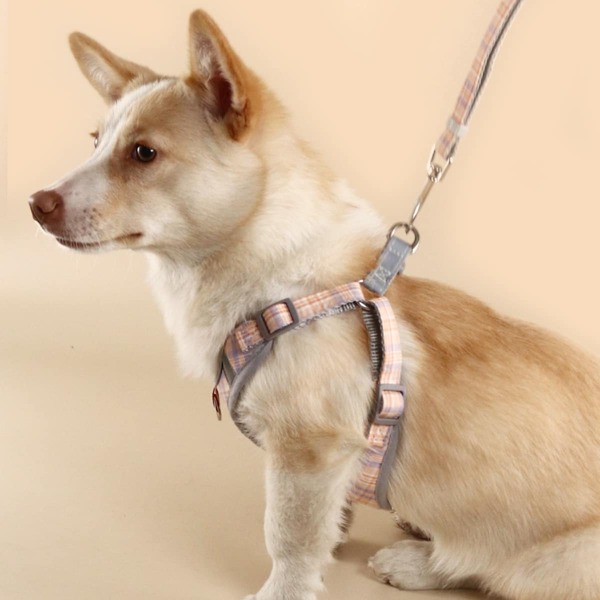 

1pc Plaid Pet Harness & 1pc Pet Leash, Multicolor
