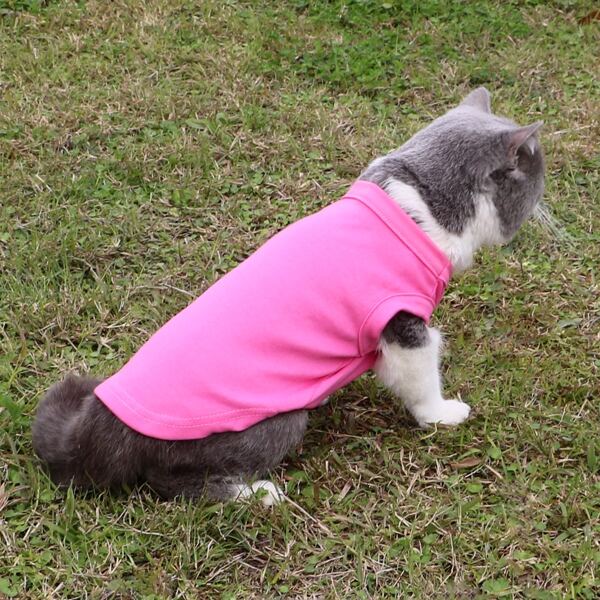 

Solid Pet Tank, Hot pink