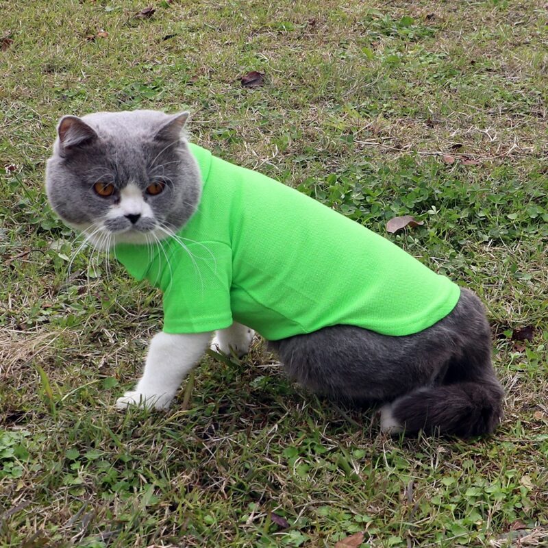 

Solid Pet Shirt, Green