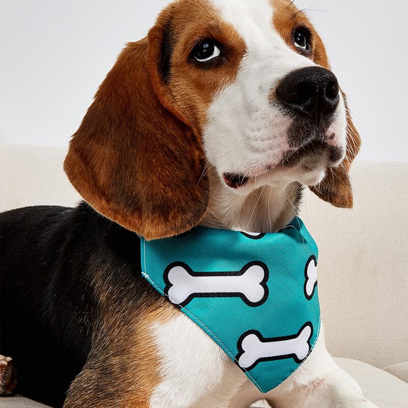 

Bone Pattern Pet Bandana, Blue