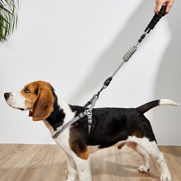 

1pc Space Dye Pet Harness & 1pc Pet Leash, Grey