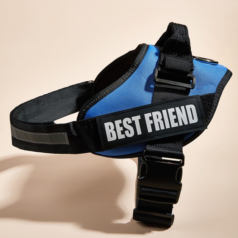 

Letter Graphic No Pull Pet Harness, Blue