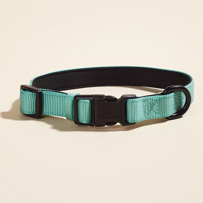 

Release Buckle Plain Dog Collar, Green