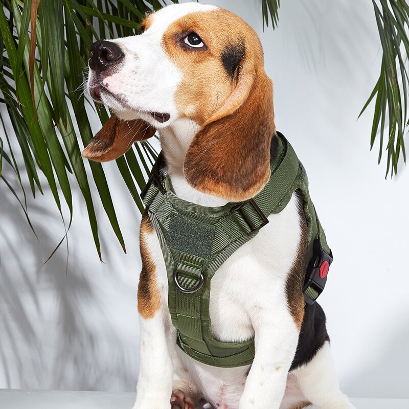 

Release Buckle Dog Harness, Army green