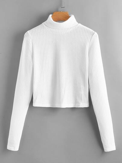 Solid Turtleneck Rib Sweater