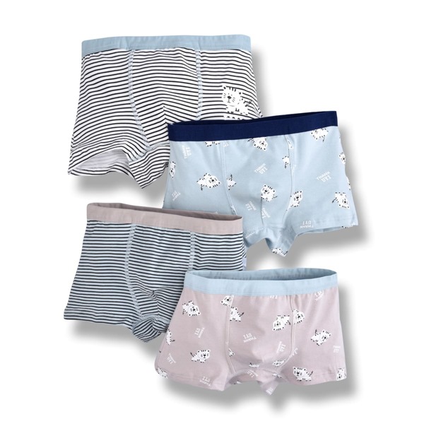 

Toddler Boys 4 Pack Cartoon And Striped Print Boxer, Multicolor