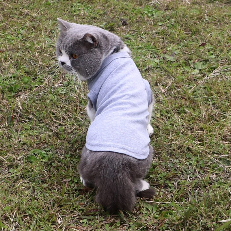 

Solid Pet Tank, Grey