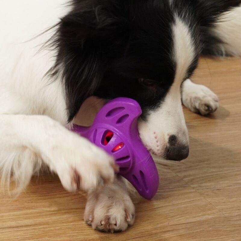 

Hollow Out Pet Sound Toy, Purple