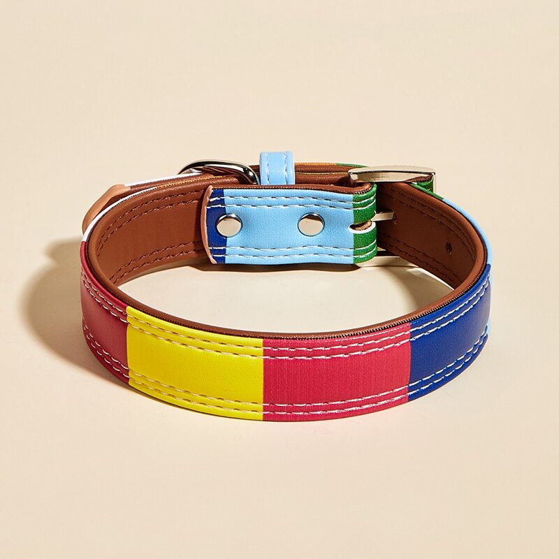 

Color Block Pet Collar, Multicolor