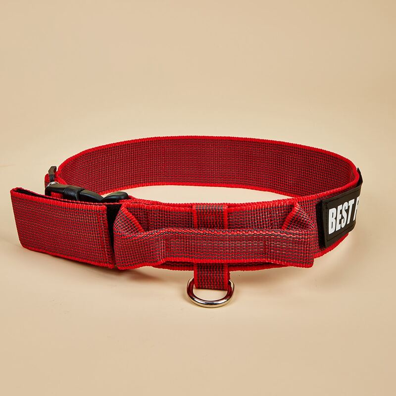 

Letter Graphic No Pull Pet Collar, Red