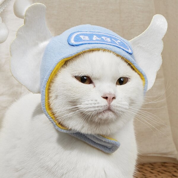 

Wings Decor Pet Hat, Blue