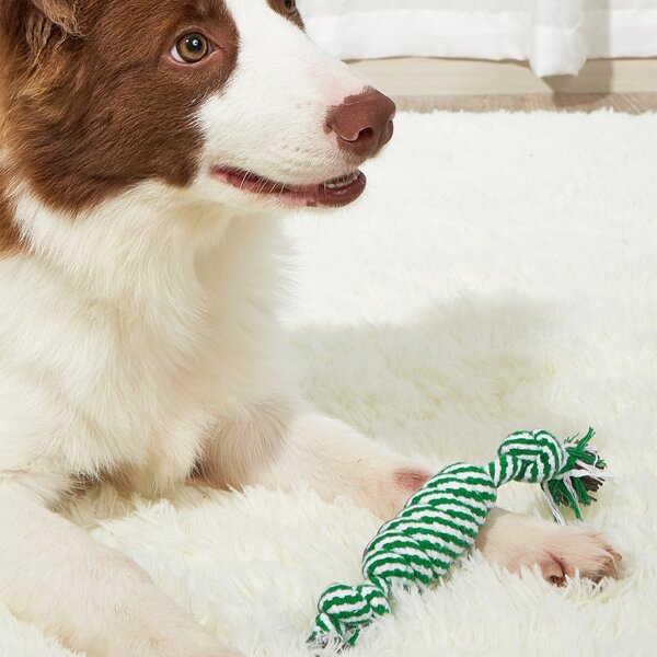 

Color Block Cotton Rope Pet Chew Toy, Green