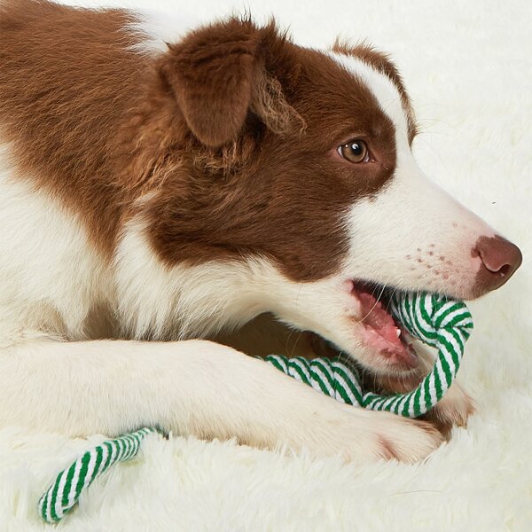 

Color Block Cotton Rope Pet Chew Toy, Green
