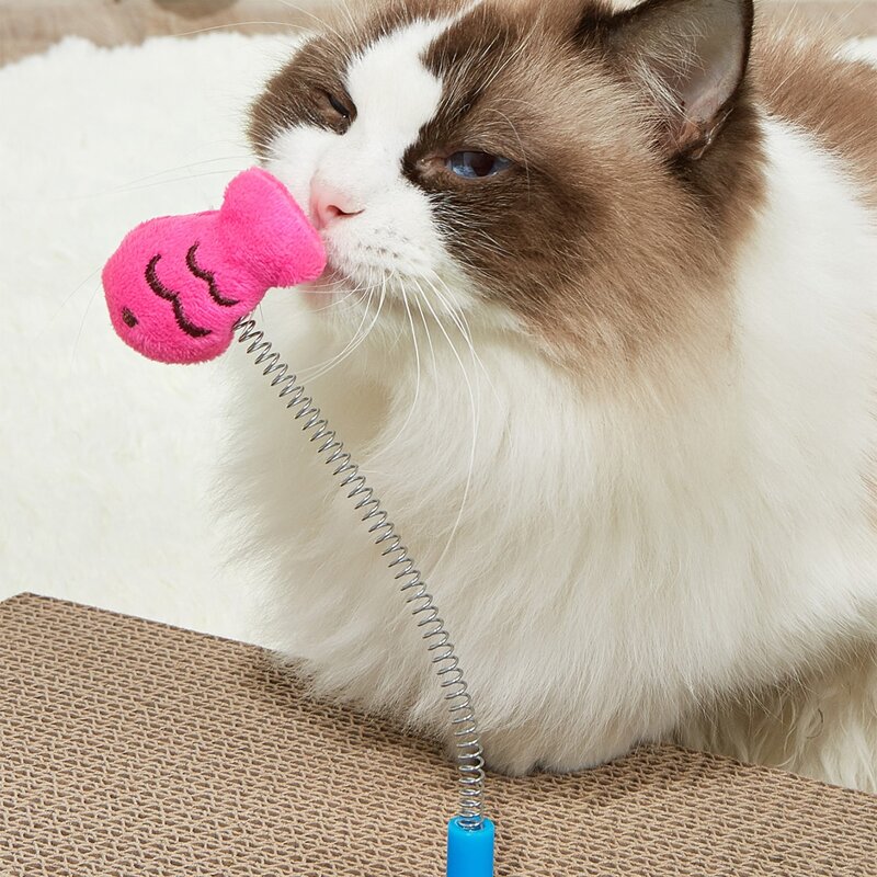 

Cartoon Design Spring Cat Teaser Toy, Multicolor