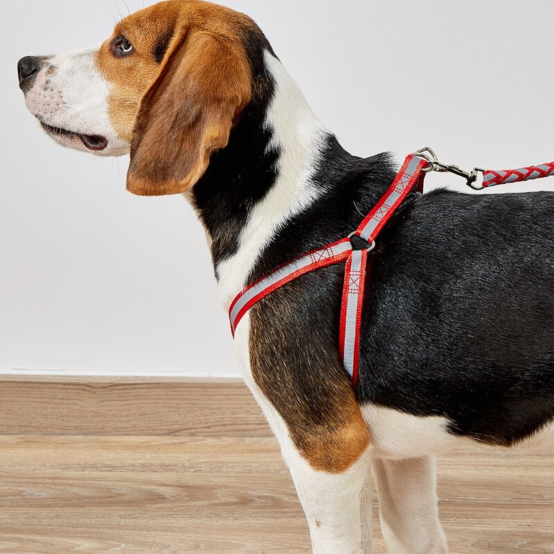 

1pc Reflective Pet Harness & 1pc Pet Leash, Multicolor
