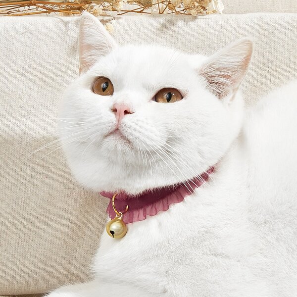 

Frill Decor Bell Pendant Pet Necklace, Burgundy