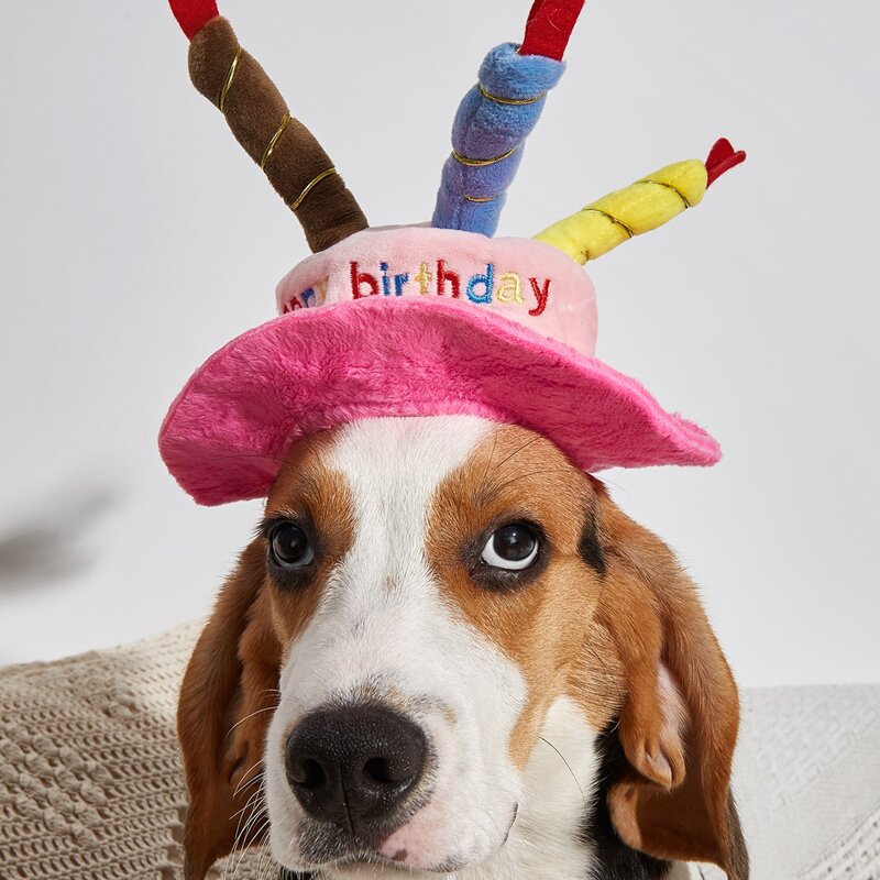 

Birthday Cake Design Pet Hat, Pink
