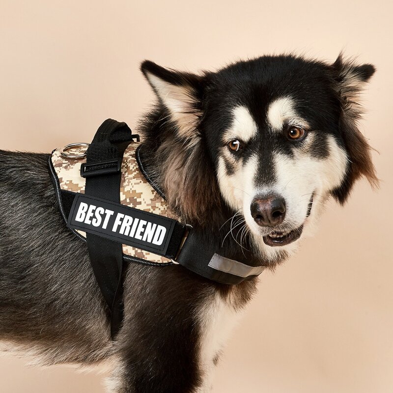 

Camo Pattern No Pull Pet Harness, Multicolor