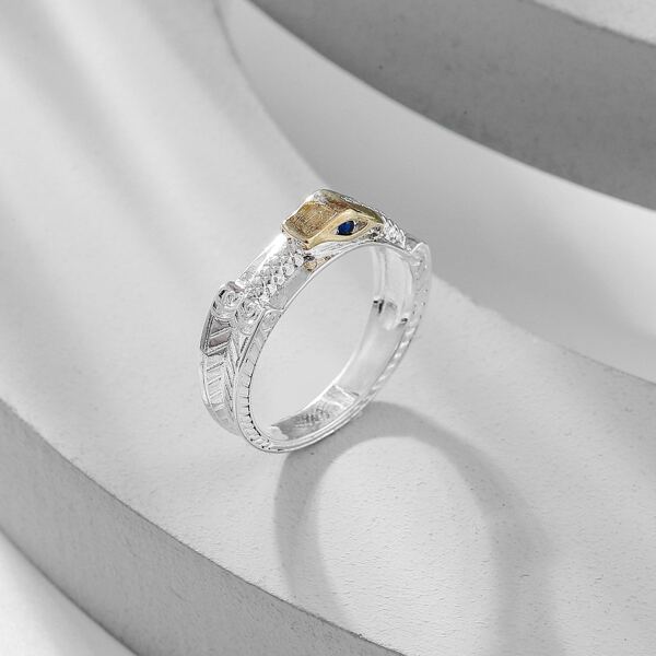 

Круглое кольцо, Многоцветный