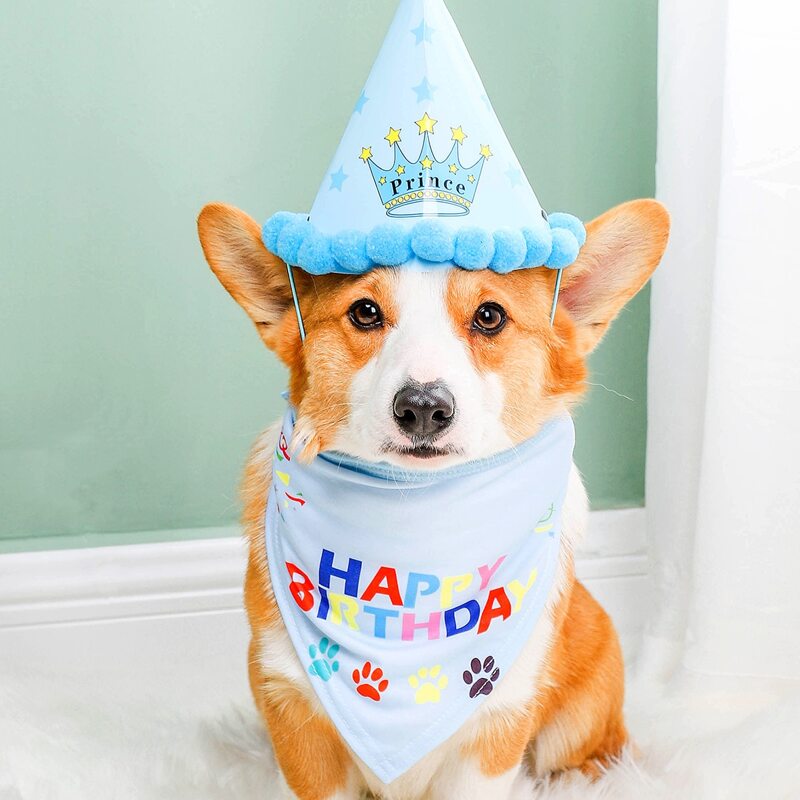 

1pc Birthday Pet Bandana & 1pc Pet Hat, Multicolor