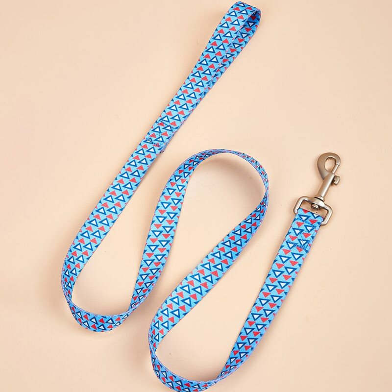 

1pc Geometric Pattern Pet Leash, Blue