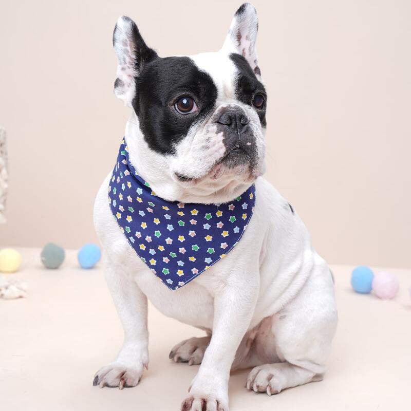 

Star Print Pet Bandana, Blue