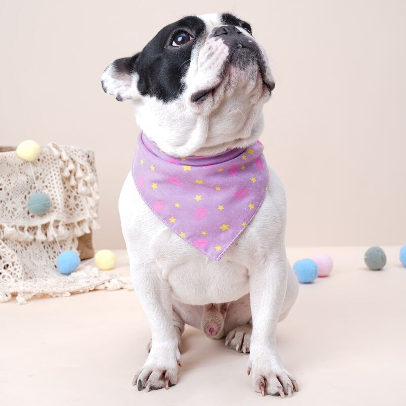 

Star Print Pet Bandana, Purple
