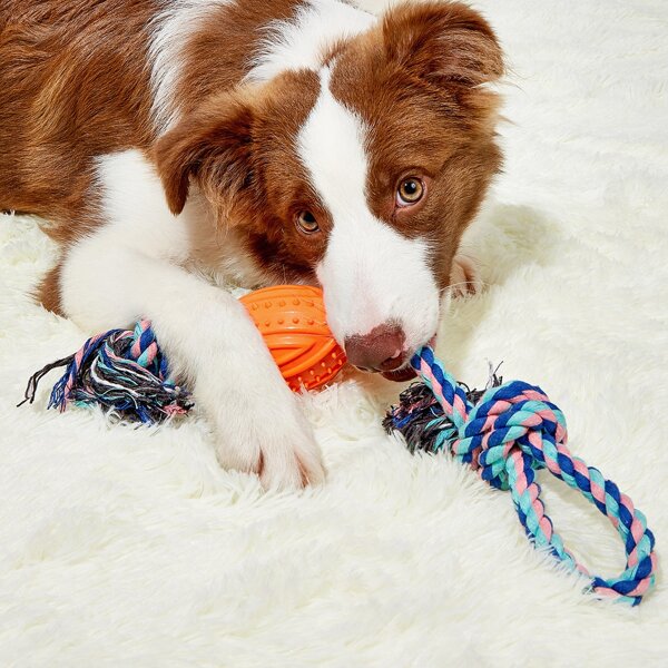 

1pc Random Color Cotton Rope Pet Chew Toy, Orange