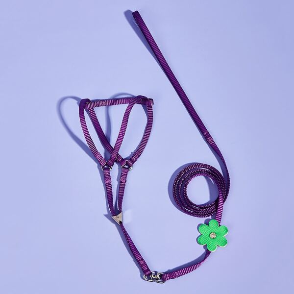 

2 In 1 Pet Harness & Flower Decor Pet Leash, Purple