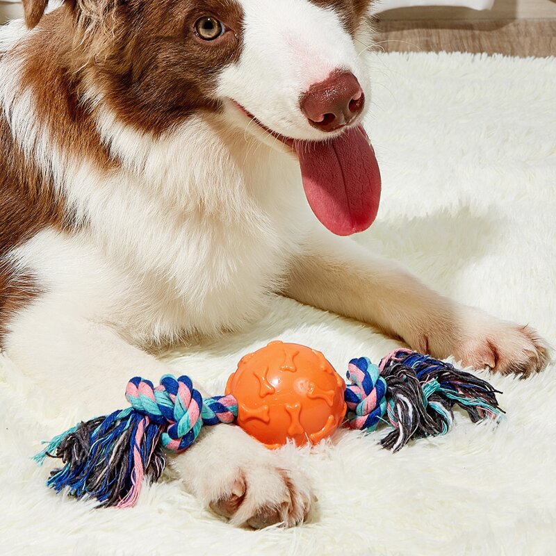 

1pc Random Color Cotton Rope Pet Chew Toy, Orange