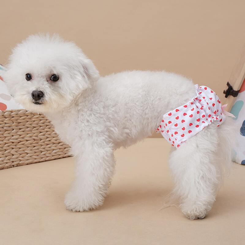 

Bow Decor Heart Print Pet Sanitary Pant, Multicolor