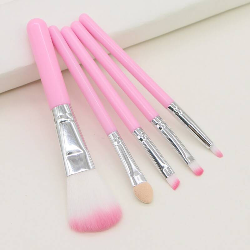 

5pcs Makeup Brush Set, Pink