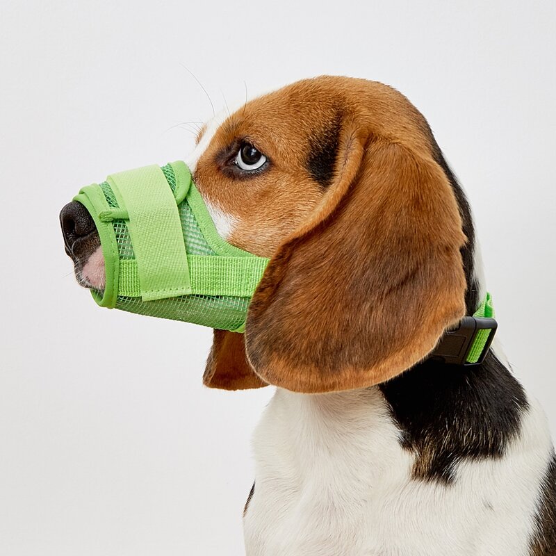 

Breathable Pet Muzzle, Green