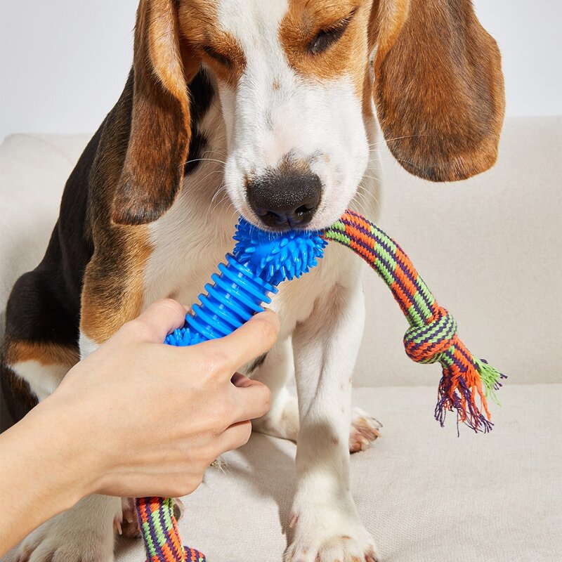 

Color Block Cotton Rope Pet Chew Toy, Blue