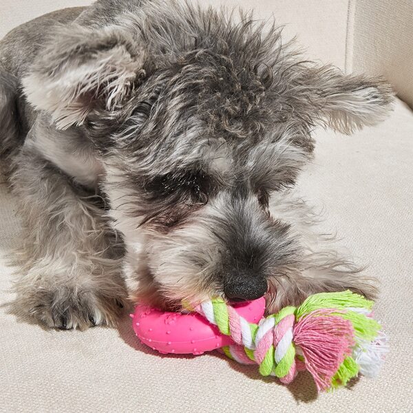 

Color Block Cotton Rope Ring Design Pet Chew Toy, Pink