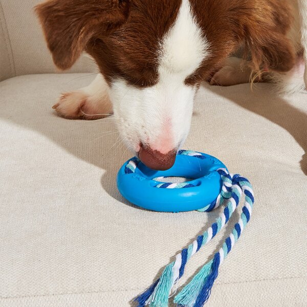 

Color Block Cotton Rope Ring Design Pet Chew Toy, Blue