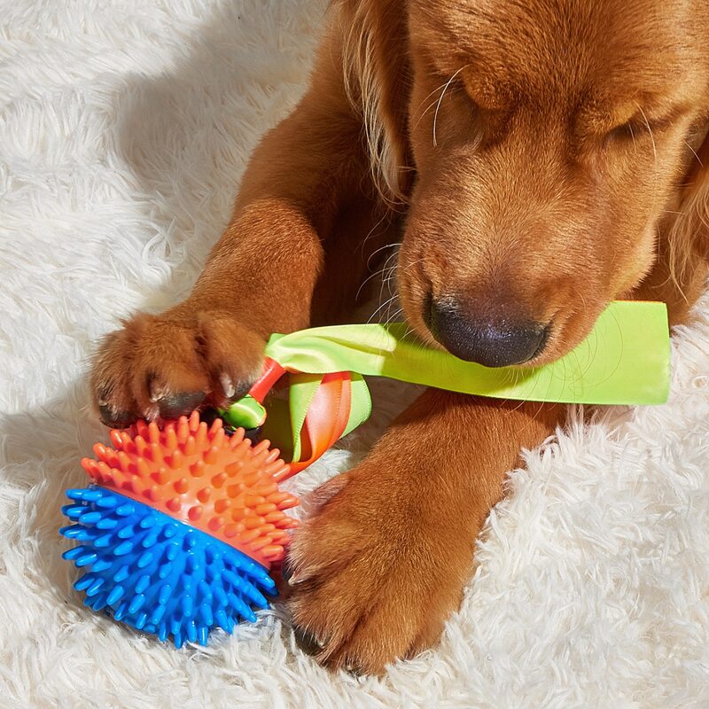 

Color Block Ball Shaped Pet Sound Toy, Blue
