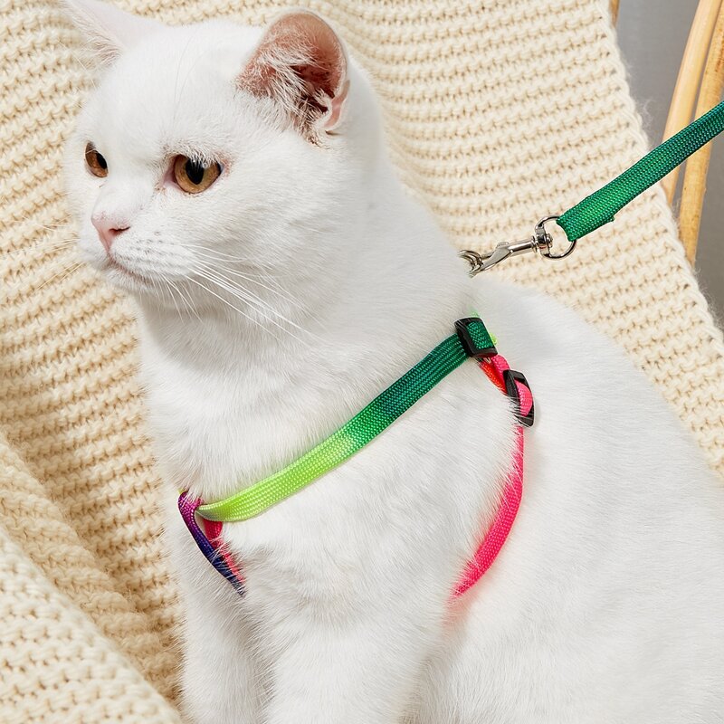 

1pc Color Block Pet Harness & 1pc Pet Leash, Multicolor