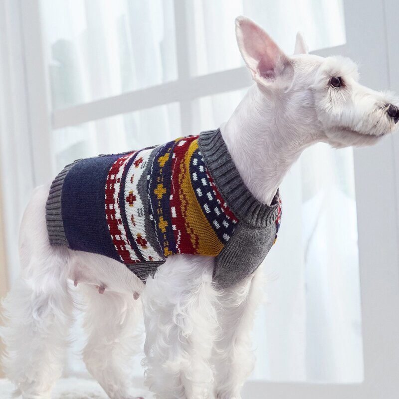 

Button Detail Pet Sweater, Multicolor