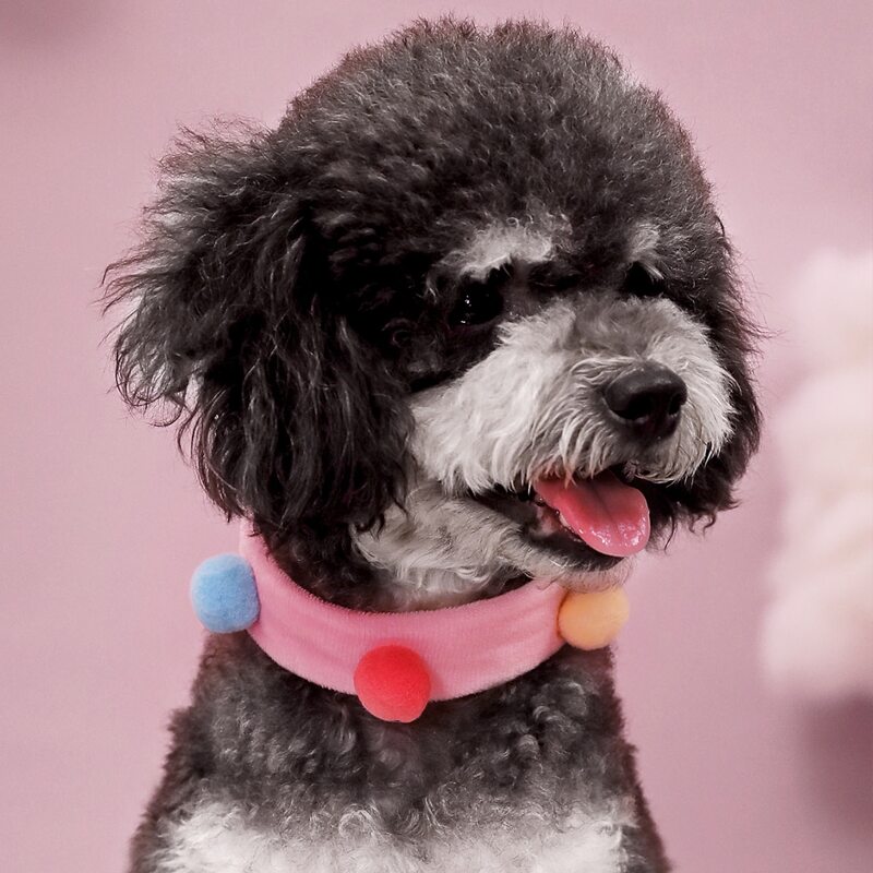 

Pom-pom Decor Cat Collar, Pink
